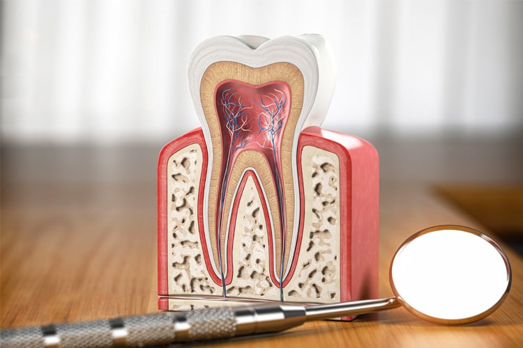 Root Canal Treatment in Ventura, CA - The Smile Shapers